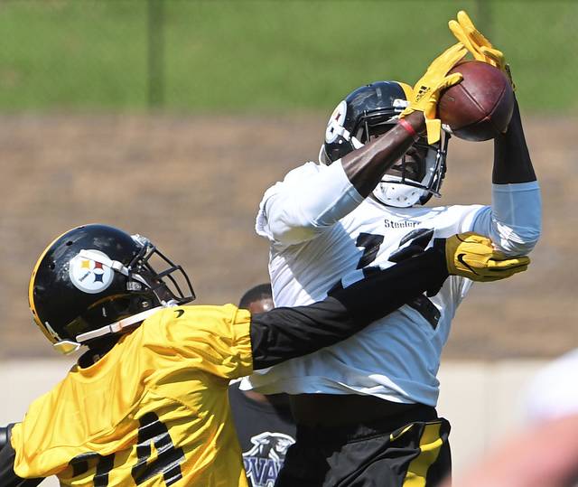 1395395_web1_gtr-steelers17-072718