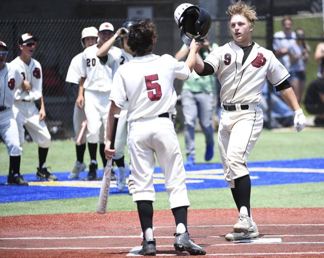 Trib HSSN rewind: A look back at the 2018-19 baseball season