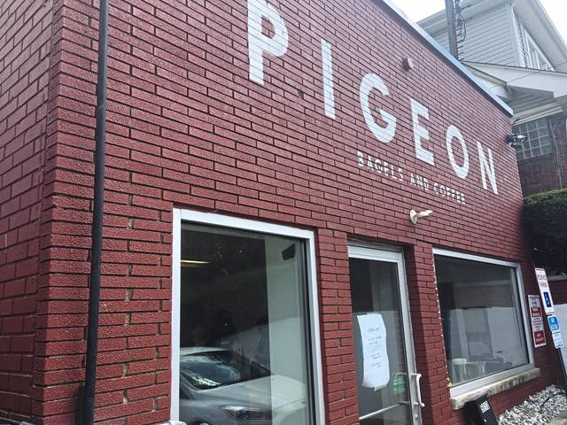 1412904_web1_PTR-PIGEON-OUTSIDE