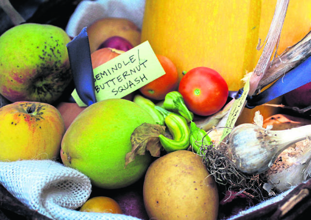 1419197_web1_BIZ_FARM-URBANFARMS_1_RA