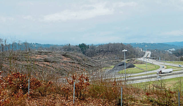 1421929_web1_vnd-battrees5-040117-