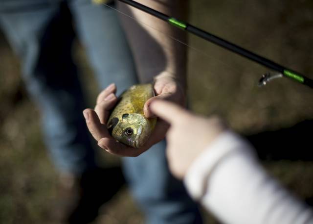 1431775_web1_gtr-FishingLicense14-041419
