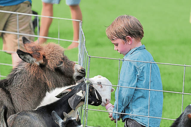 Pine Community Day has huge turnout despite hot, humid conditions