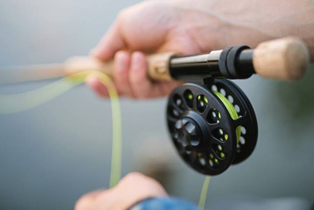 1481517_web1_gtr-liv-flyfish-01-080419