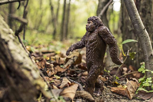 1482174_web1_bigfoot-542546_1920