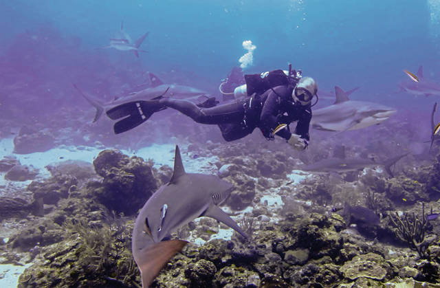 1394356_web1_VND-ScottsScuba4-080619
