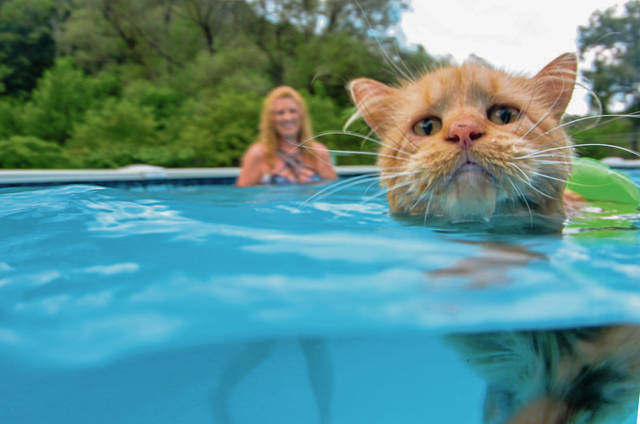 Kitty Summers Vacation Kitty Summers Vacation