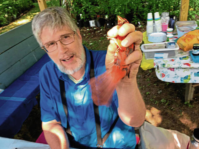 1496701_web1_gtr-birdbanding-080319