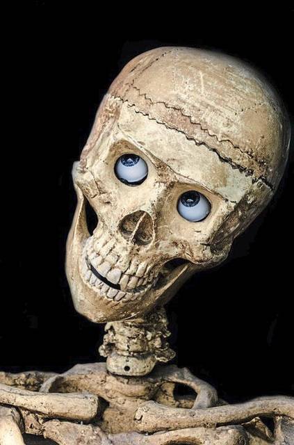 1506609_web1_gtr-tk-planner-skull-081519
