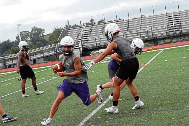 Plum hopes experience translates to success