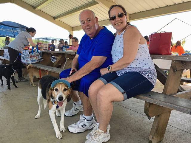 1521135_web1_gtr-OA-dogdays3-081919