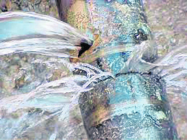 1522402_web1_WaterMainBreak