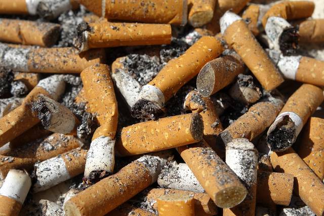 1530702_web1_web-cigbutts