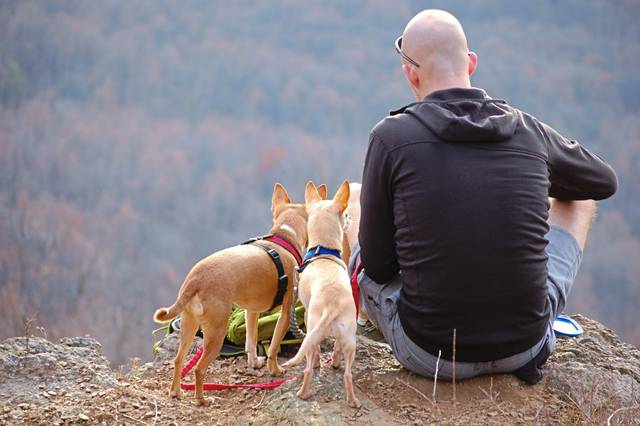 1538448_web1_gtr-liv-hike-01-081819