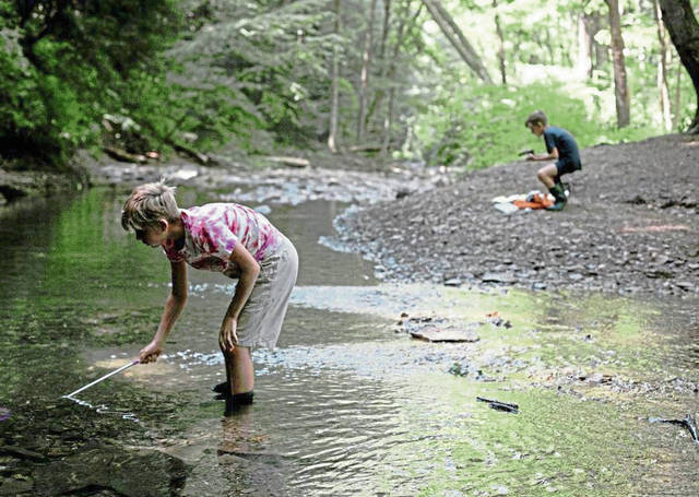 Hampton Library assists exploration of Crouse Run Nature Reserve, other sites