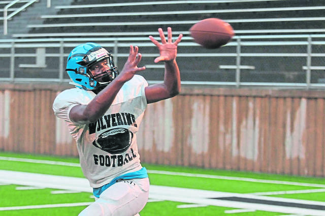 WPIAL position-by-position breakdown: Scouting the tight ends