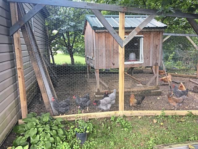 1546188_web1_gtr-Irwinhens1-081619