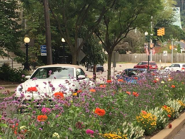 This weekend in Sewickley: corn roasts and pool parties