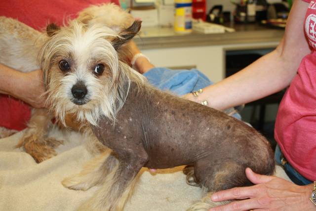 1565808_web1_ptr-gettysburgfilth2 1565808_web1_ptr-gettysburgfilth2