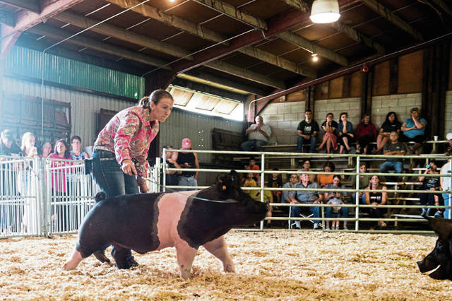 1570080_web1_gtr-pigsisters002-082219