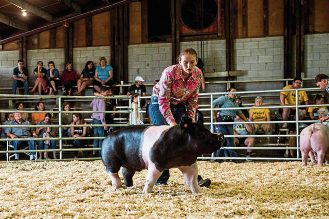 1570080_web1_gtr-pigsisters003-082219