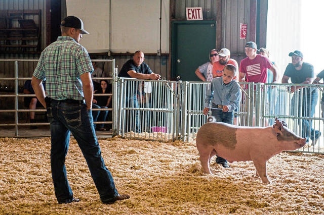 1570080_web1_gtr-pigsisters008-082219