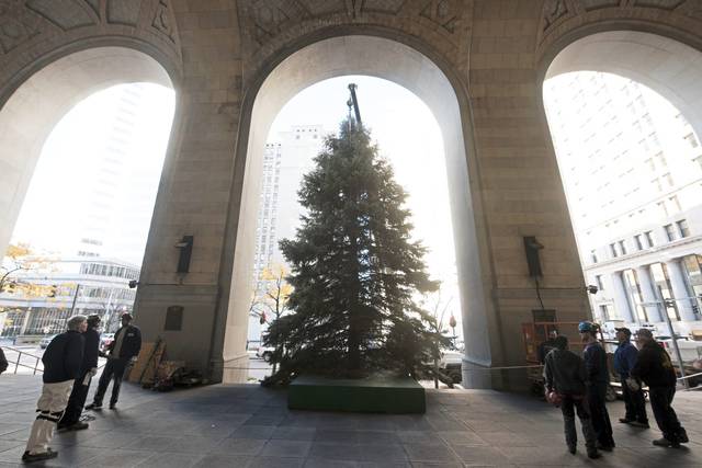 1575446_web1_ptr-christmastree02-082319