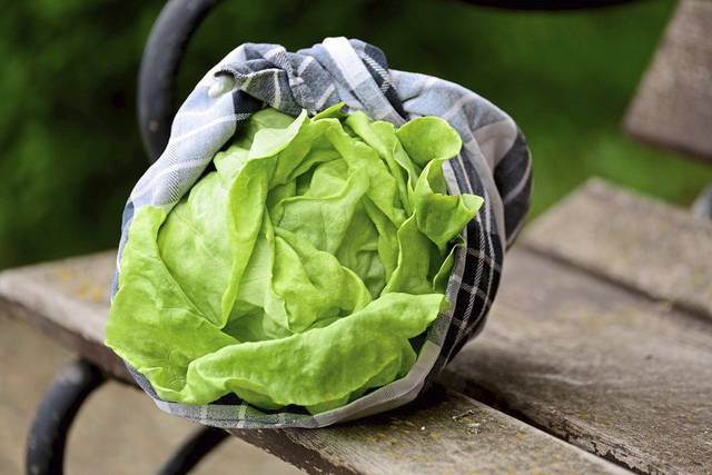 1595540_web1_gtr-liv-lettucewrap-082819