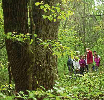 1596436_web1_scott-conservancy