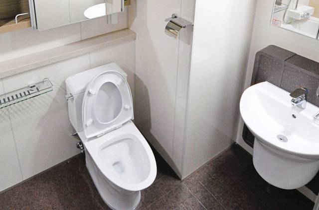 1606683_web1_web-toilet