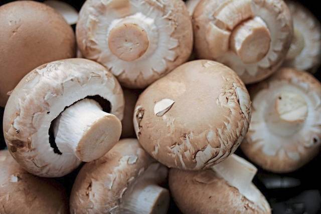 1601932_web1_gtr-liv-mushrooms-090119