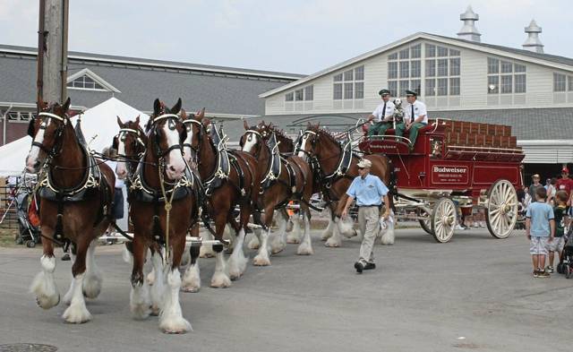 1628636_web1_web-budweiser
