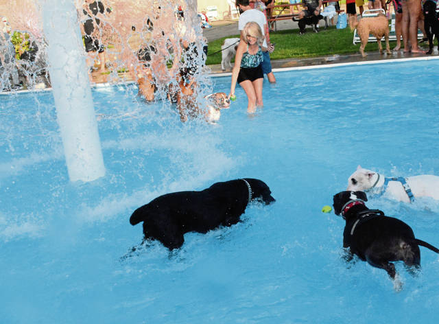 1630897_web1_Te-BelAirepool17-091219