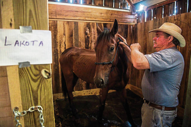 1633057_web1_gtr-horseauction001-090619
