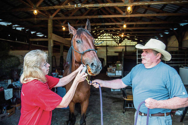 1633057_web1_gtr-horseauction002-090619