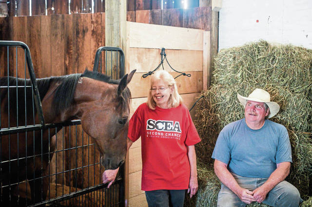1633057_web1_gtr-horseauction006-090619