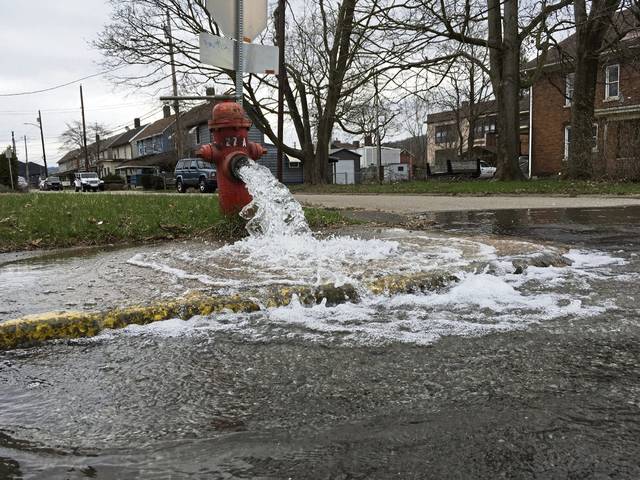 1633863_web1_web-hydrantflush