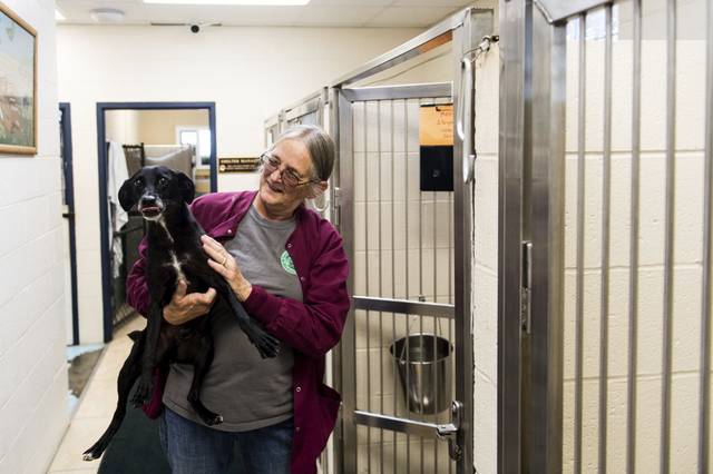 1638948_web1_gtr-hurricanedogs002-090719
