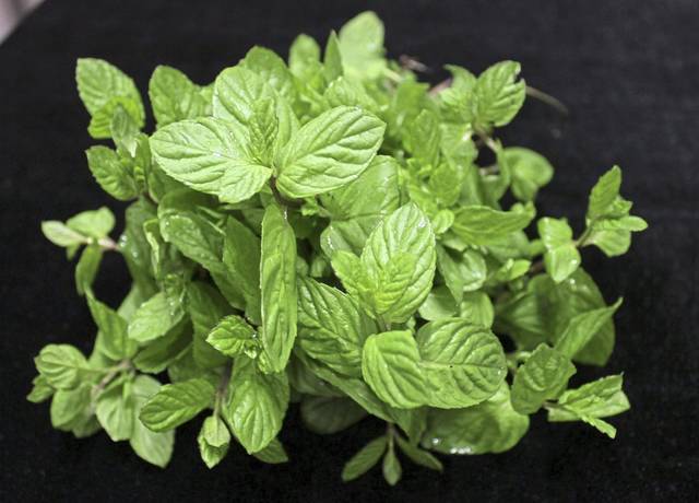 1654329_web1_gtr-liv-mint-01-091119