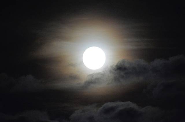 1659887_web1_pal-lo-huntersmoon3-111617