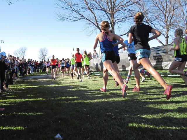 Penn Hills boys cross country seeks improvement throughout season