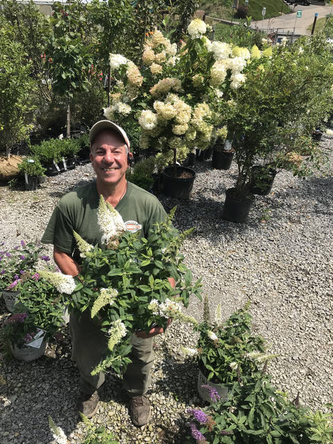 1665480_web1_tree_planting_information_4