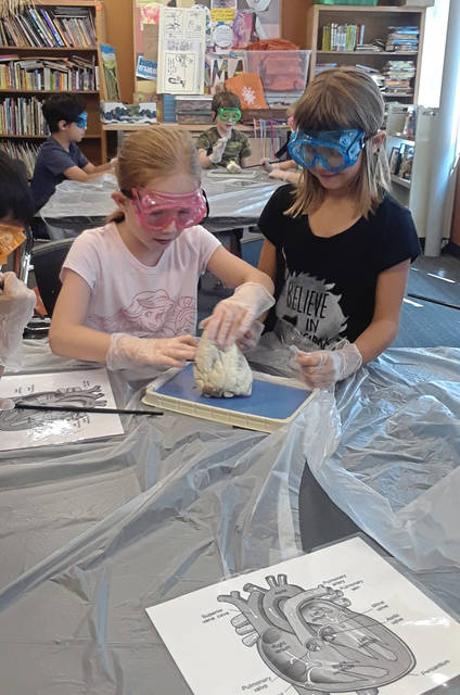 Green Grocer, author talks, more at Sharpsburg, Cooper-Siegel libraries