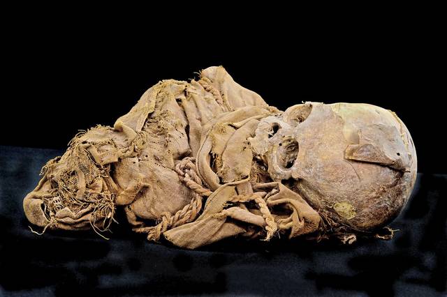 1691486_web1_PTR-MUMMIES-3-091919