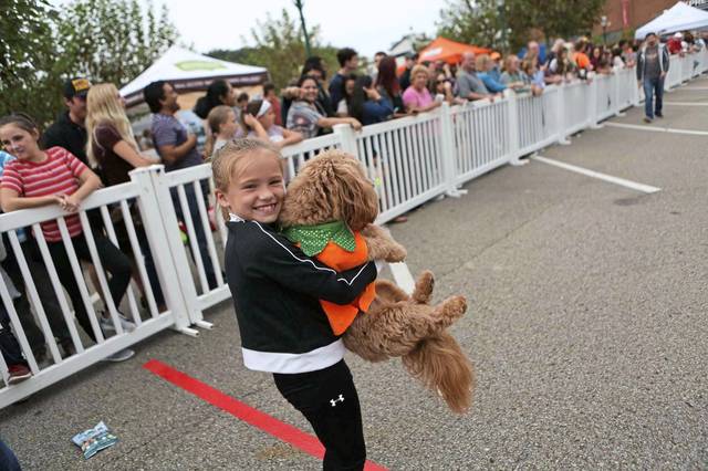 1703294_web1_PTR-SMALLDOGS-1