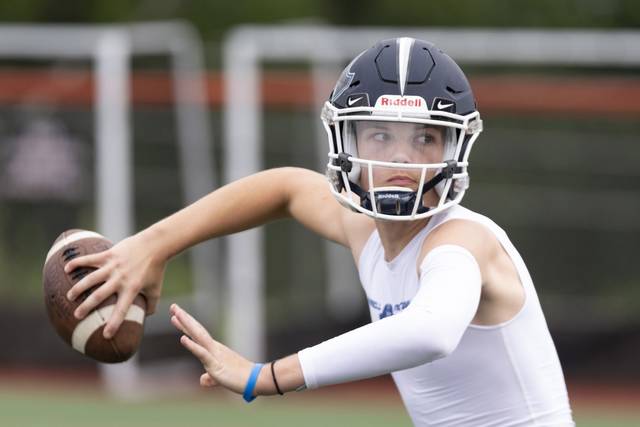 Birdie fired up for Burrell-Deer Lakes air show