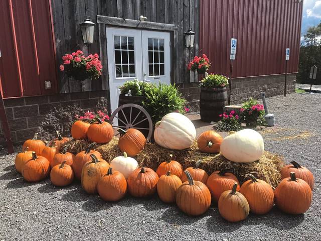 1720808_web1_VND-LIV-RENSHAW-PUMPKINS