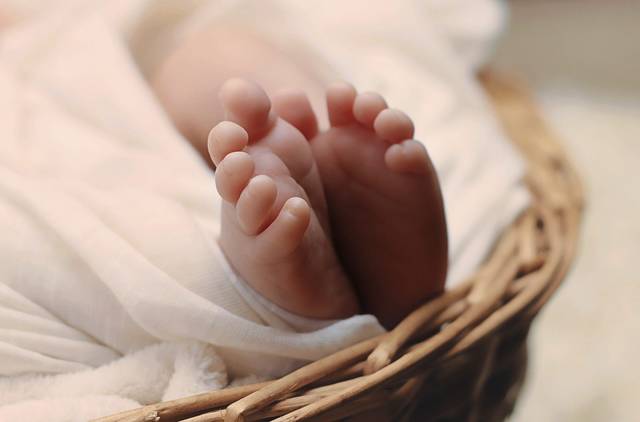 1721654_web1_web-babybasket