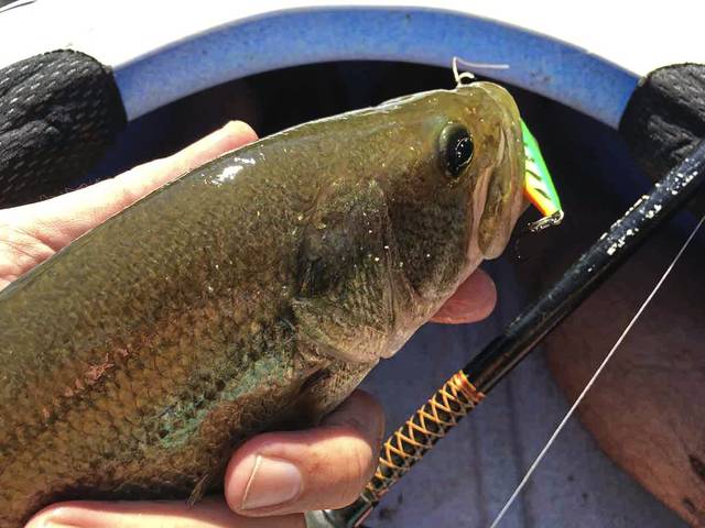 1731668_web1_gtr-fisheries-062419