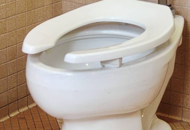 1732630_web1_web-toilet